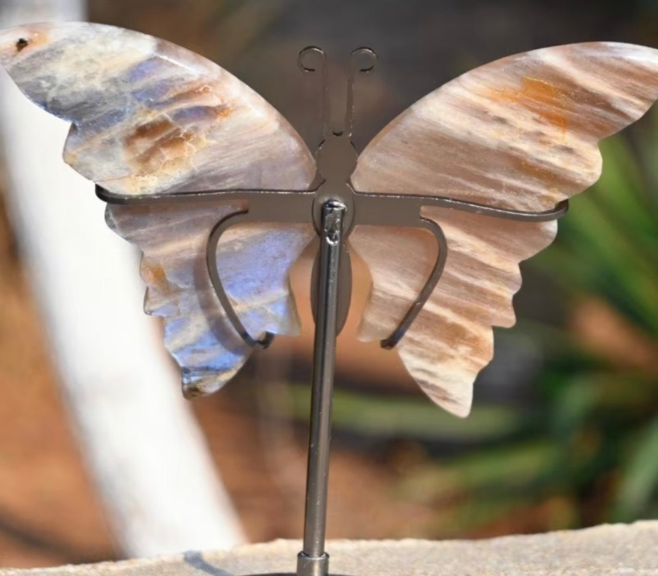Ethereal Flash Butterfly Wings on Stand