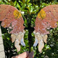 The "Atlantis Tide" Ocean Jasper Wing Set