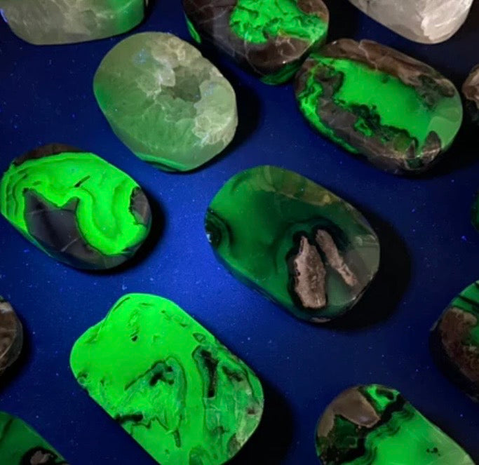Magma Flow: Polished Volcanic Agate Palm Stones