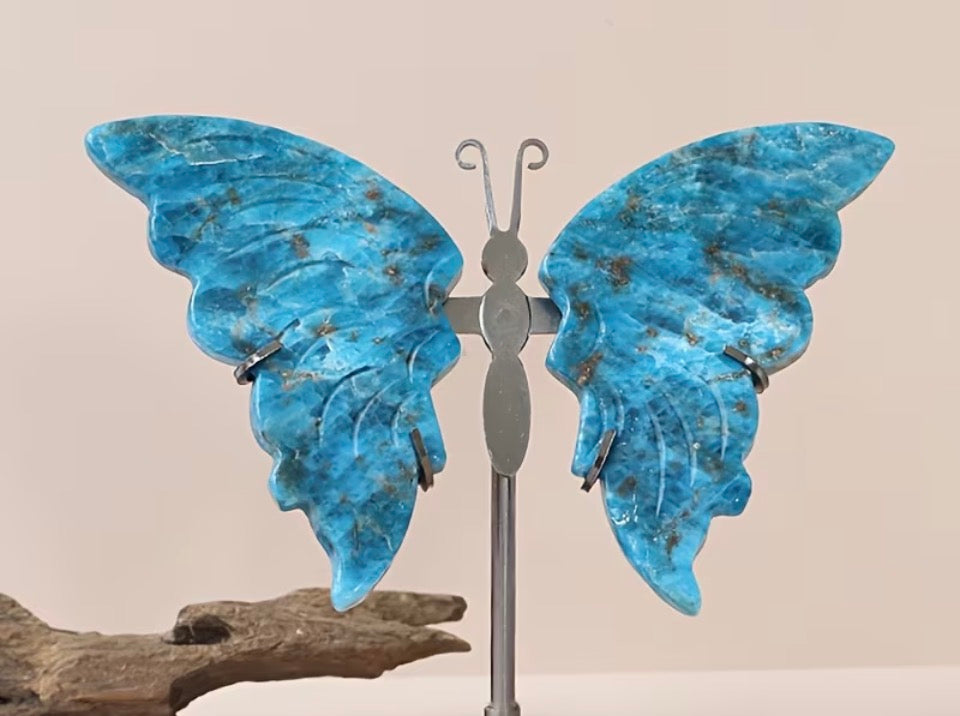 Cerulean Angel Wing Carving