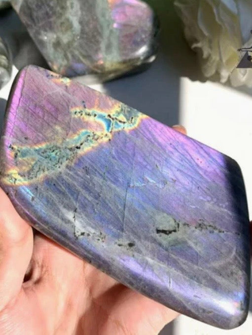 Violet Velvet: Premium Purple Flash Labradorite Freeforms (~800g)