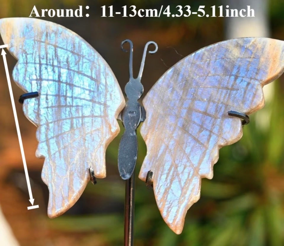 Ethereal Flash Butterfly Wings on Stand