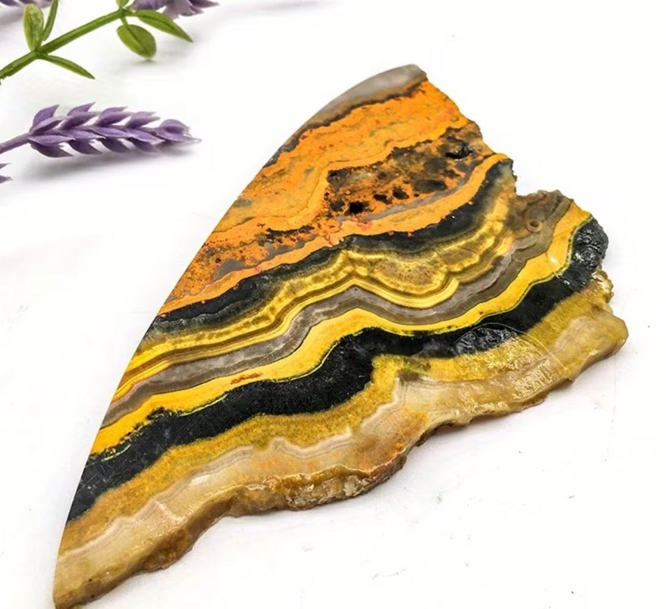 Ethically Sourced Bumblebee Jasper Display Slab (100g)