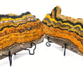 Ethically Sourced Bumblebee Jasper Display Slab (100g)