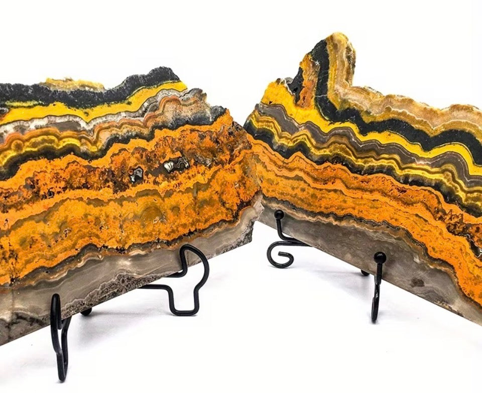 Ethically Sourced Bumblebee Jasper Display Slab (100g)