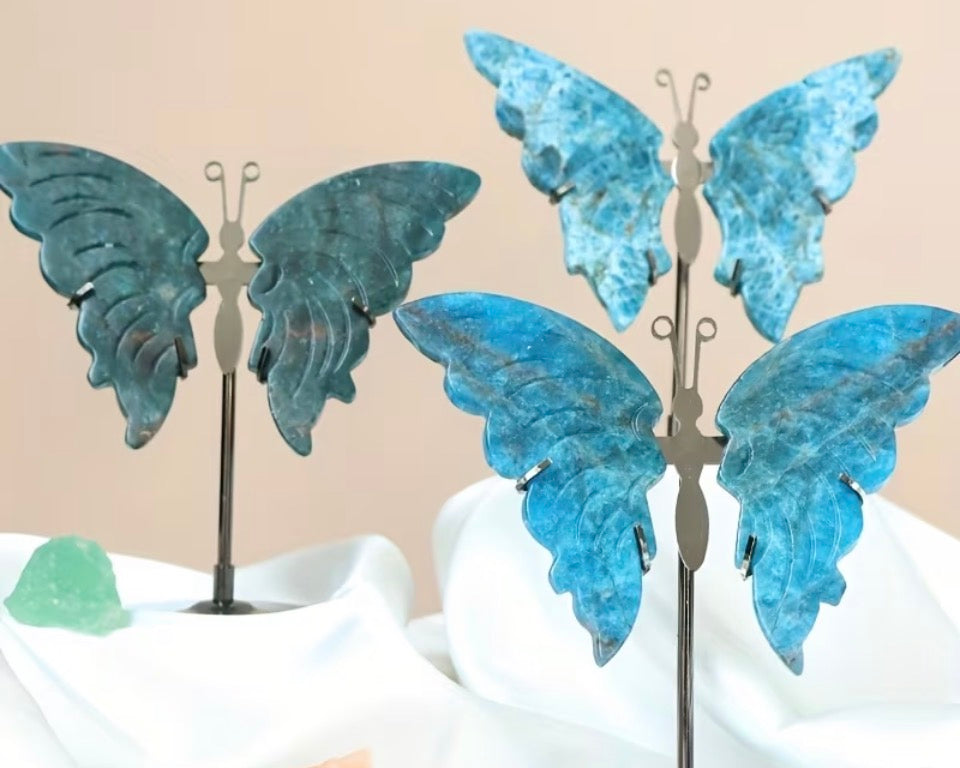 Cerulean Angel Wing Carving