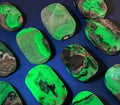 Magma Flow: Polished Volcanic Agate Palm Stones