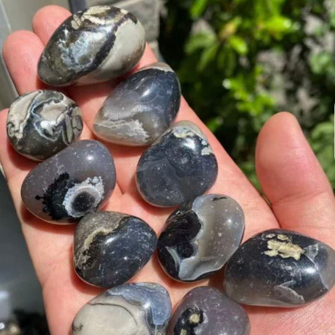 The Alchemist’s Pocket Collection