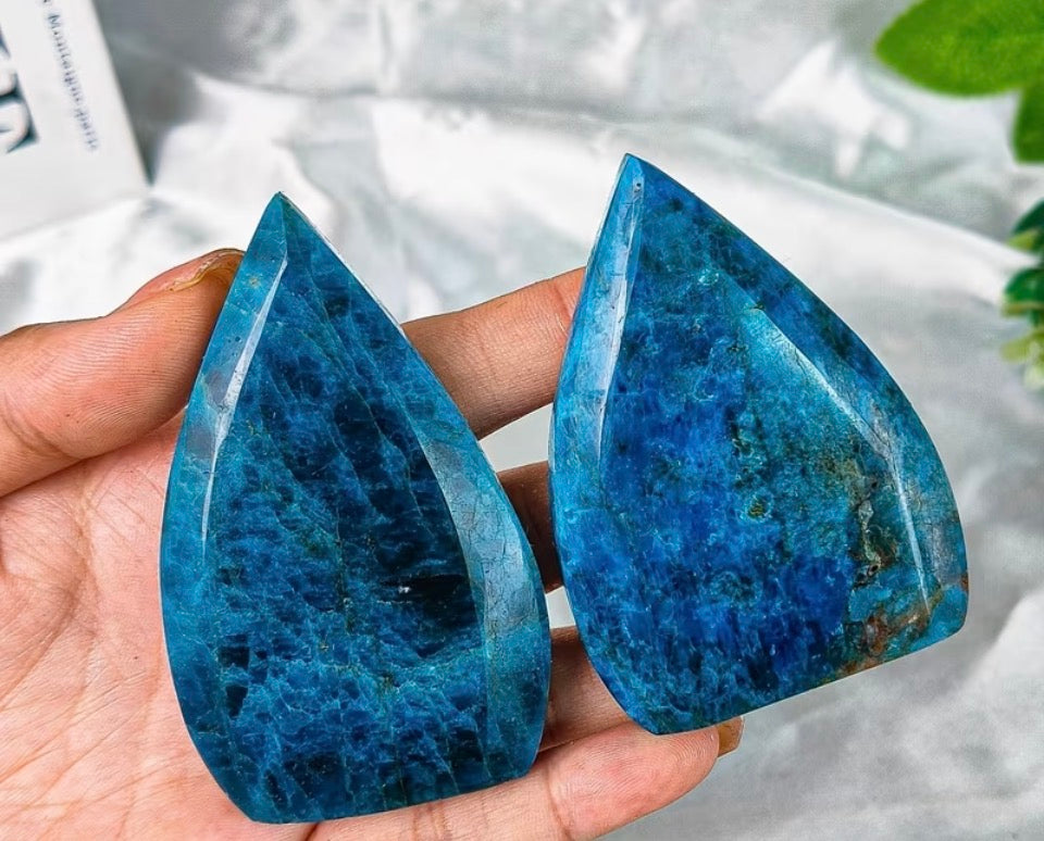 Deep Ocean Teardrop Palm Stone