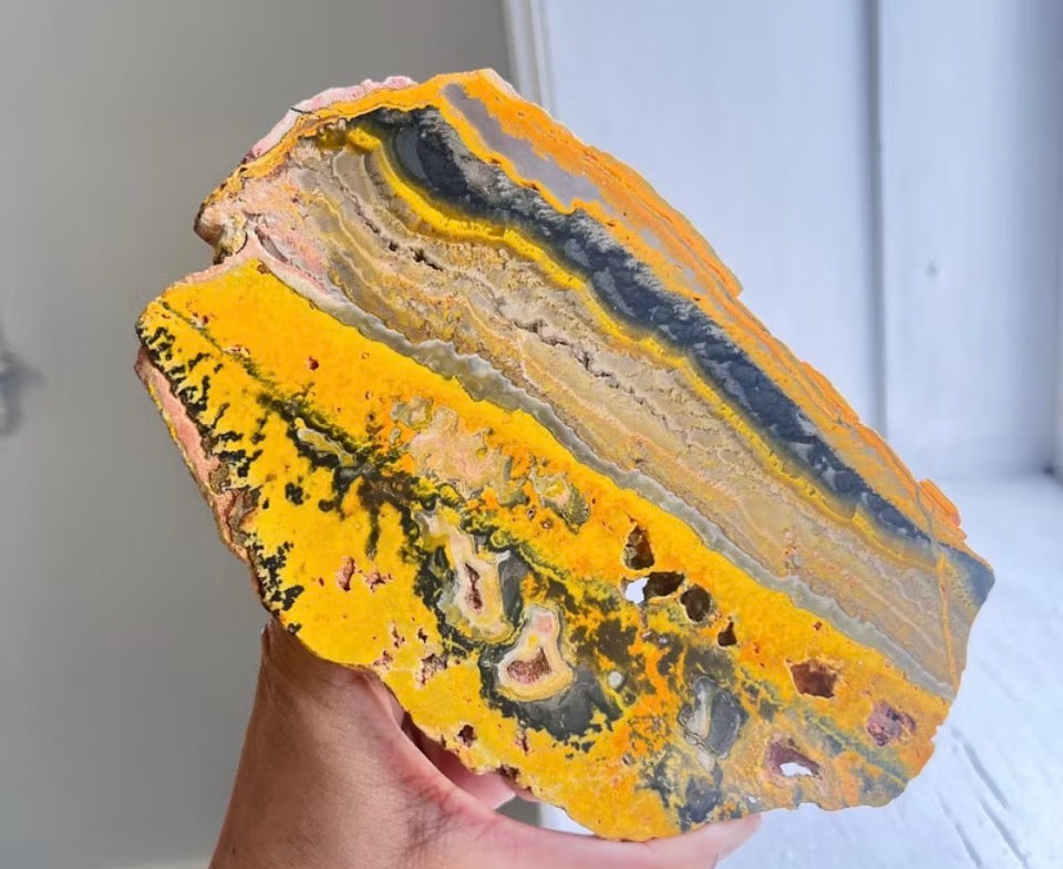 Ethically Sourced Bumblebee Jasper Display Slab (100g)
