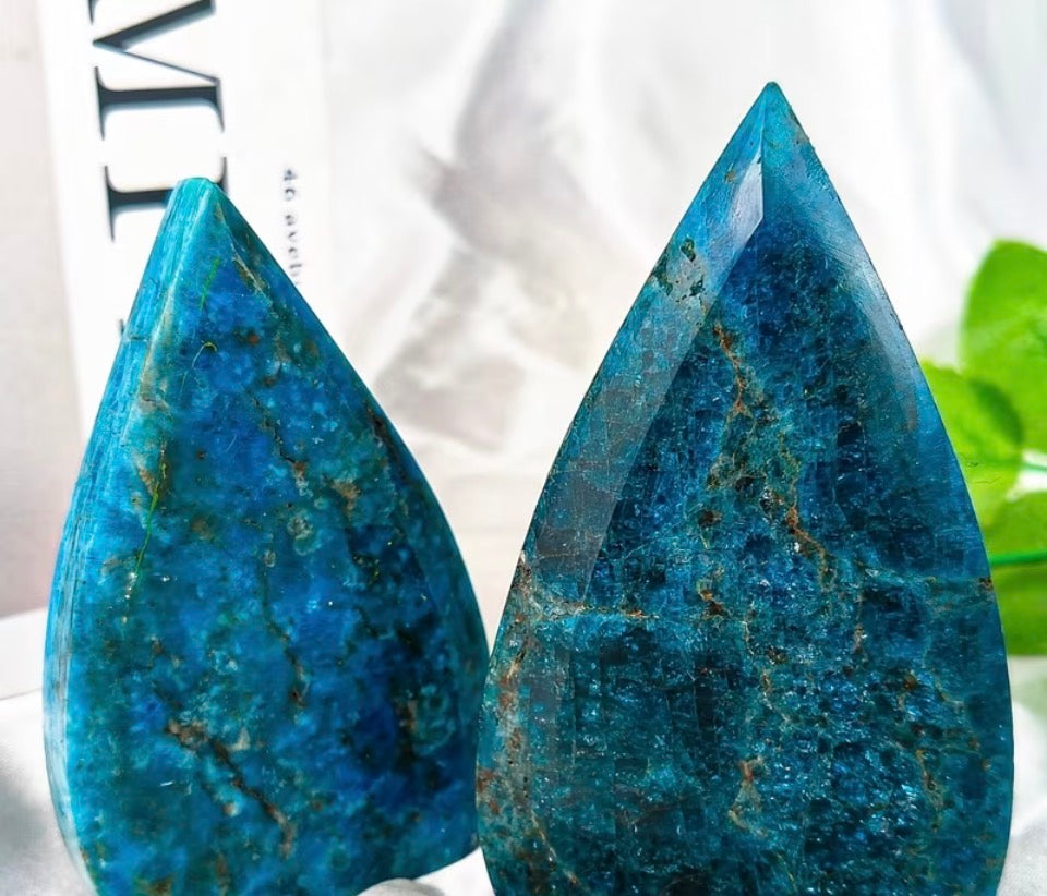 Deep Ocean Teardrop Palm Stone